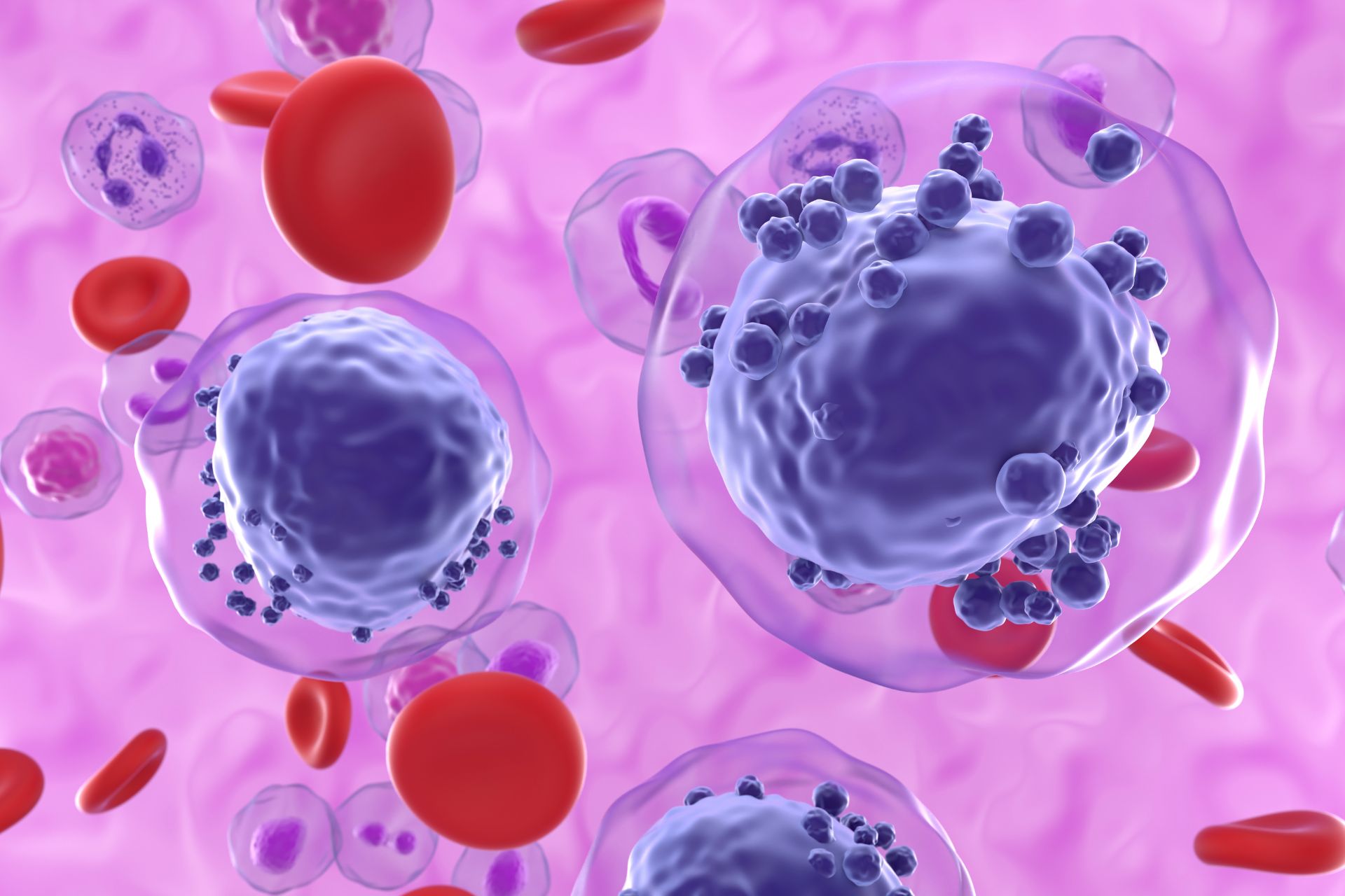 CONSULTORIO DR. SOCRATES LEUCEMIA